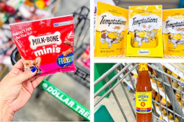 dollar tree milk-bone, temptations, louisiana hot sauce 3-photo collage