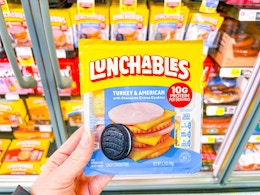hand holding a lunchables kit
