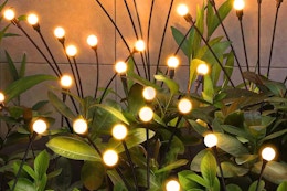 Solar Garden Lights 4-Pack, Just $21 on Amazon card image