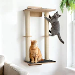 Cat Wall Furniture Shelves