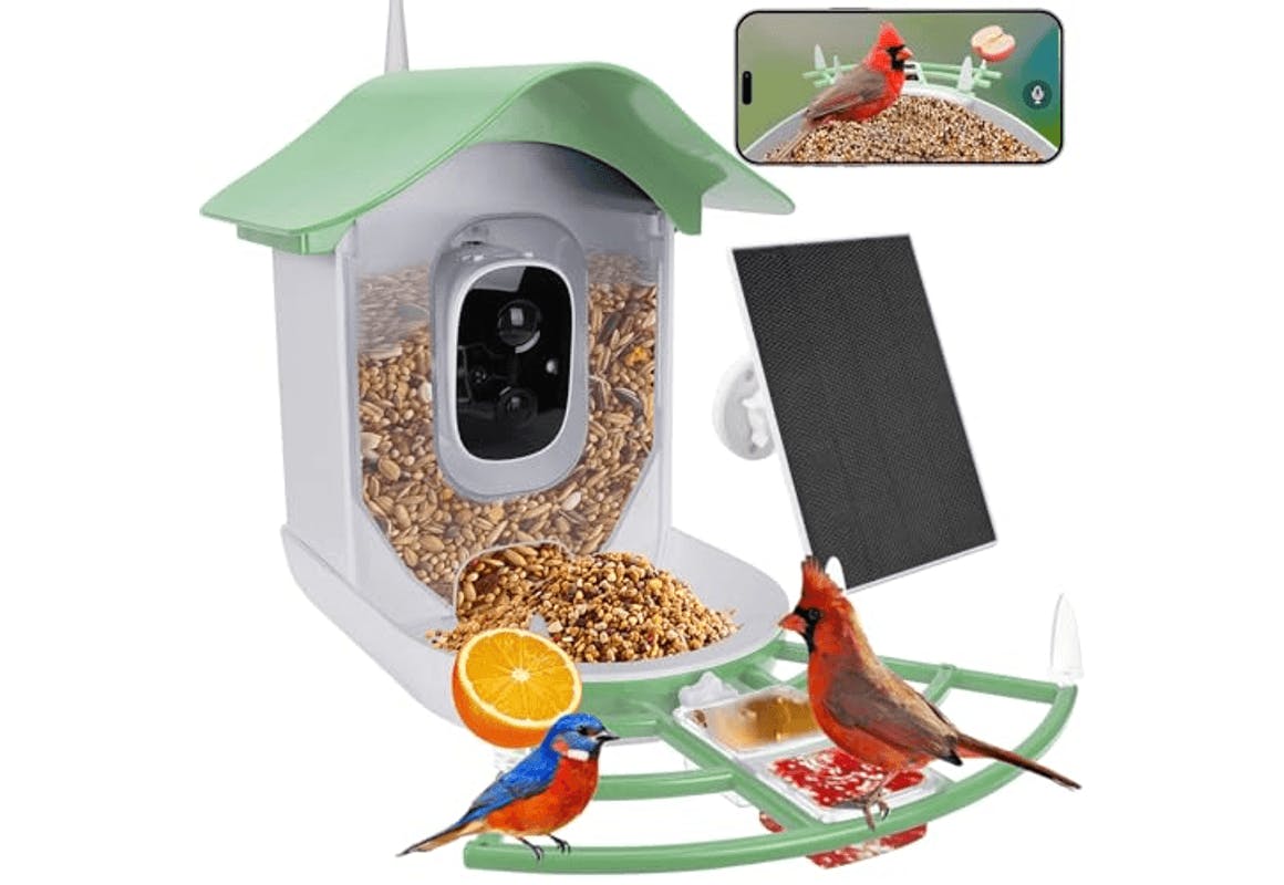 Smart Bird Feeder With Camera
