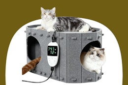 amazon cat house