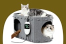 amazon cat house