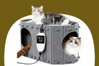 amazon cat house