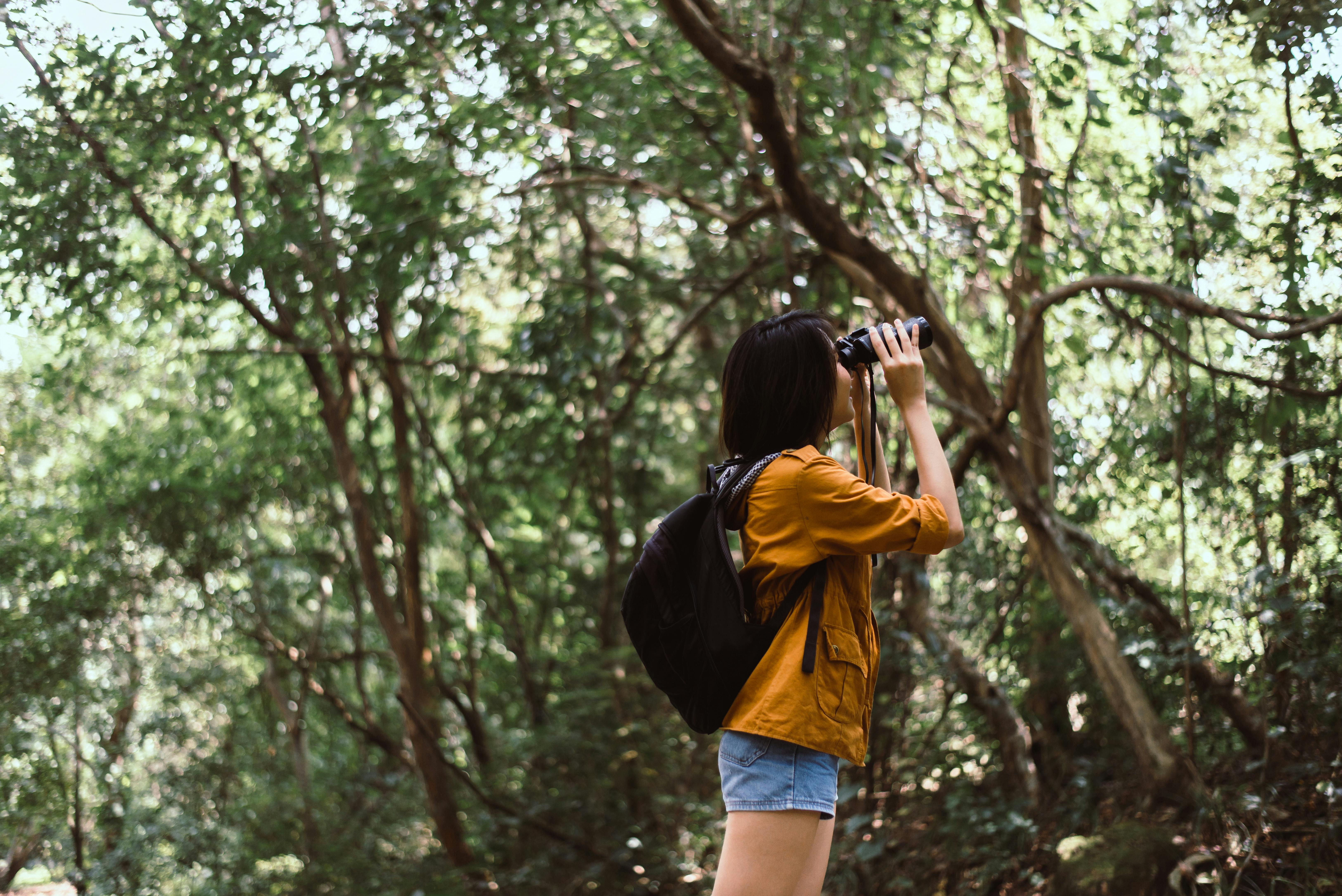 These Are the 10 Best Binoculars for the Money, $5 and Up