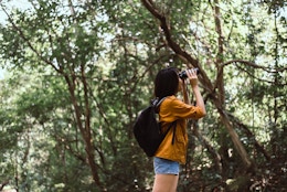 best binoculars for the money - Woman looking around in nature with binoculars
