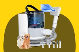 Pet Grooming Kit With Vacuum, Under $39 on Amazon card image