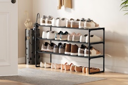 rack holding an assortment of shoes by entryway