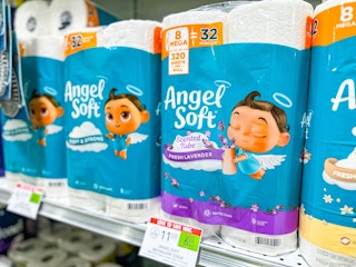 publix-angel-soft-toilet-paper-1