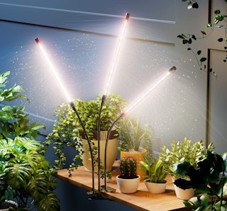 Plant Grow Lights