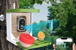 This $110 Smart Bird Feeder With Camera Is Now $59.99 on Amazon card image