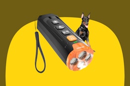 Ultrasonic Dog Bark Deterrent