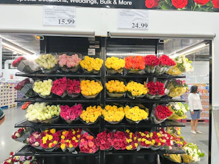 costco 2 dozen premium roses