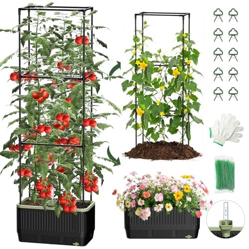 Self Watering Tomato Planter