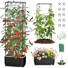 Self Watering Tomato Planter