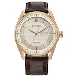 Citizen Men's Classic Eco-Drive Watch