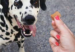 Amazon-milkbone-macrosnacks-treats