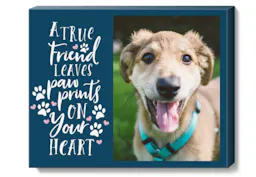 CVS Photo Unframed Canvas Print, 11x14