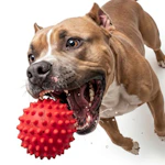 Durable Squeaky Dog Ball