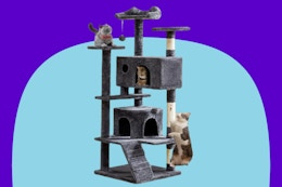 Multi-Level Cat Tree, Just $40 on Amazon card image