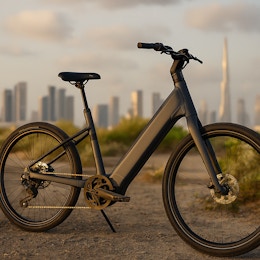 electric bike