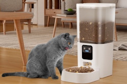 Automatic Pet Feeder With Alexa, Just $26.99 for Amazon Pet Day card image