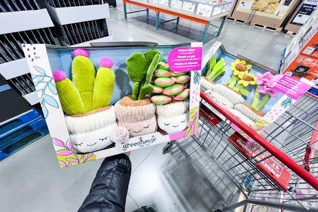 Greenhouse Plush Plants 3-Pack, Only $18.99 at Costco card image