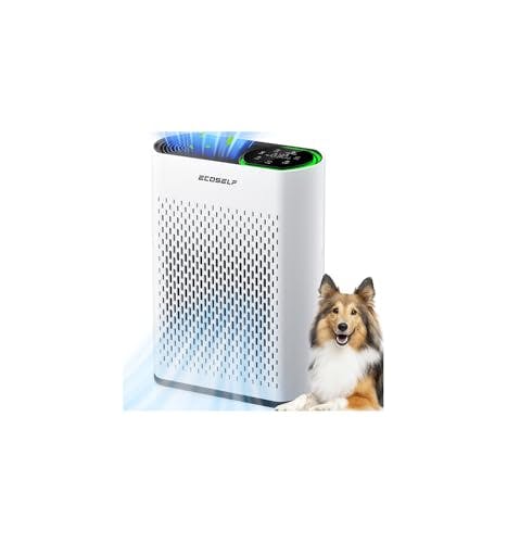 Air Purifier