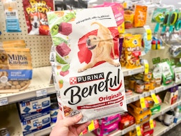 person holding a bag of beneful dog food