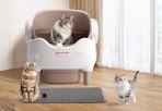 Self-Cleaning Litter Box