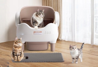 Self-Cleaning Litter Box