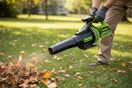 woot leaf blower
