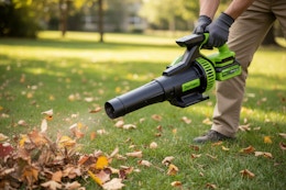 woot leaf blower