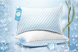 Bed Pillows B0GVS2W6JB