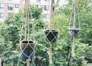 amazon plant hangers 2022 2 1656088812 1656088813