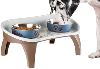 image of pet feeding tray
