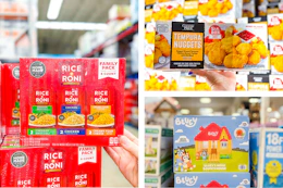 rice chicken bounce house collage