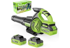 Cordless Leaf Blower