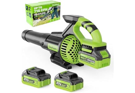 Cordless Leaf Blower