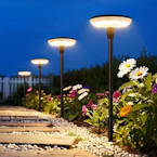 Solar Pathway Lights