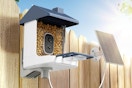 a smart bird feeder on a fence