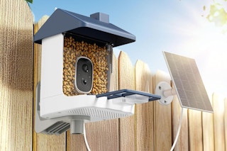 a smart bird feeder on a fence