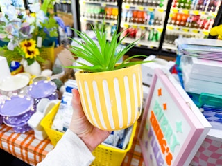dollar general true living faux potted plant