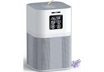 Air Purifier