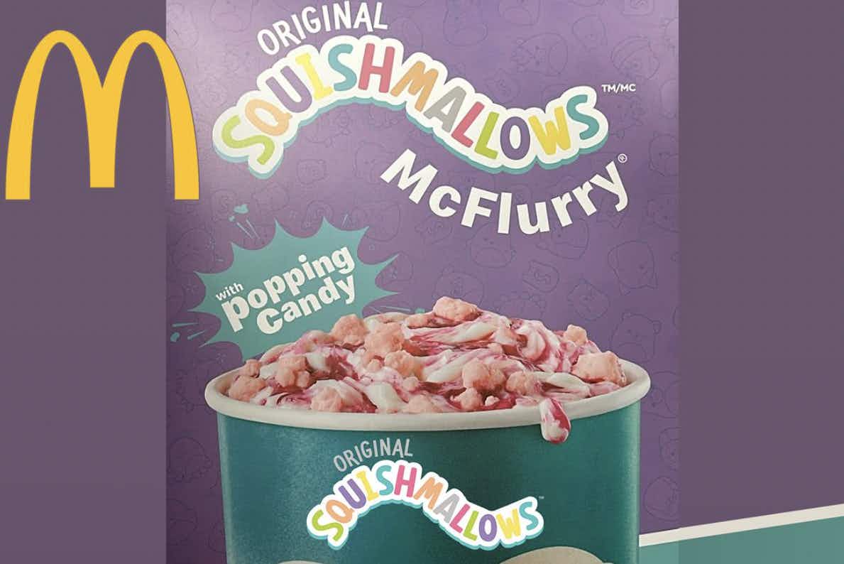 a photo of the Squishmallows McFlurry from McDonald's. 