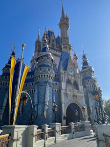 Disney World Tickets