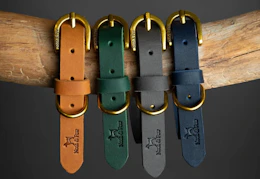 Noah & Paw Dog Collar