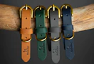 Noah & Paw Dog Collar