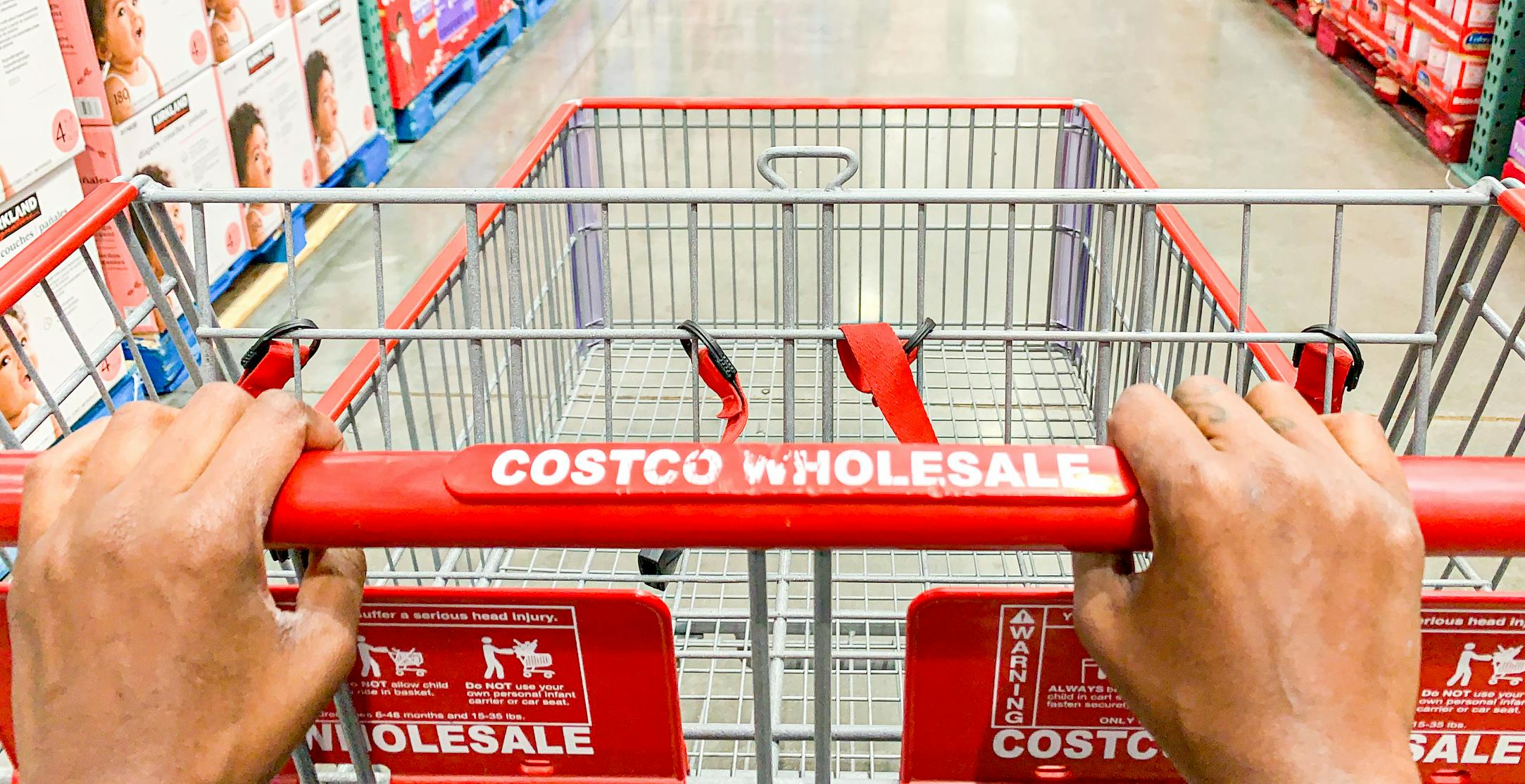 Costco Luxury Items: 12 Surprising Things You Can Buy - The Krazy ...