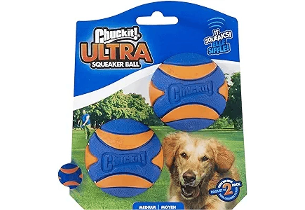 Chuckit Squeaker Ball 2-Pack